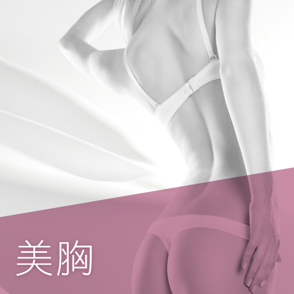 美胸